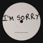 Arlo Parks Instagram - I’m Sorry ft. @lousandtheyakuza is out now! This song is unbelievably raw for me…it is about dissociation, trauma and being afraid to be witnessed in pain, to trust someone with yourself as you break - Lous brought so much tenderness and quiet strength to my favourite track on the record - healing is not linear! We are all trying our best! Let me know what you think!