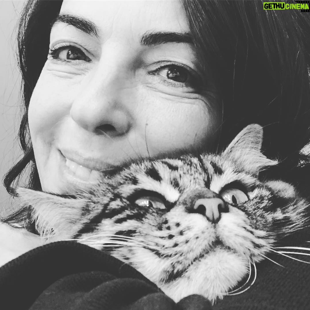 Arzu Gamze Kılınç - 3.9K Likes - #siyahbeyazaşk 🖤🖤🖤🖤#neco #hazırlıkodası