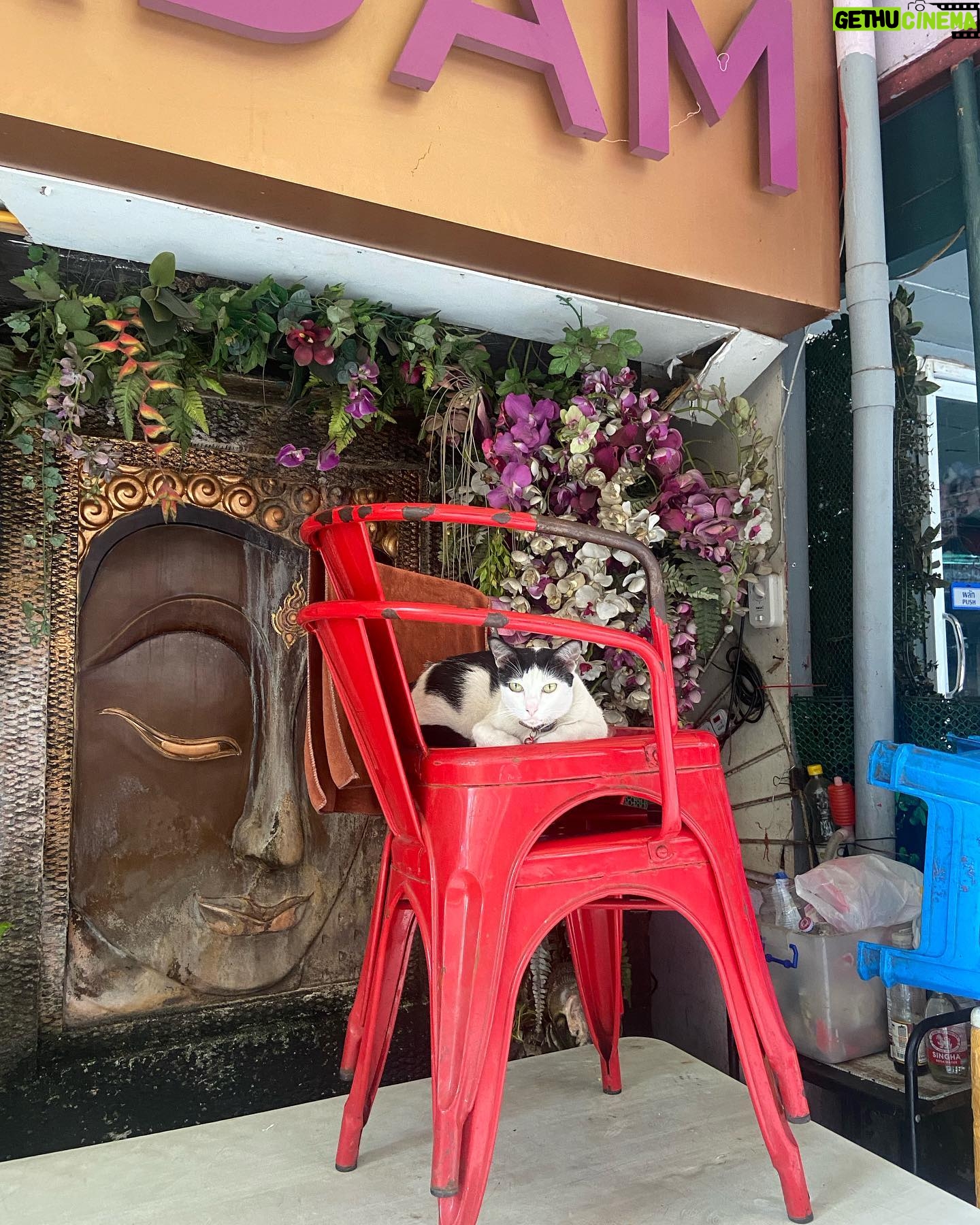 Arzu Yanardağ - 3 Likes - Bangkok dump✌️