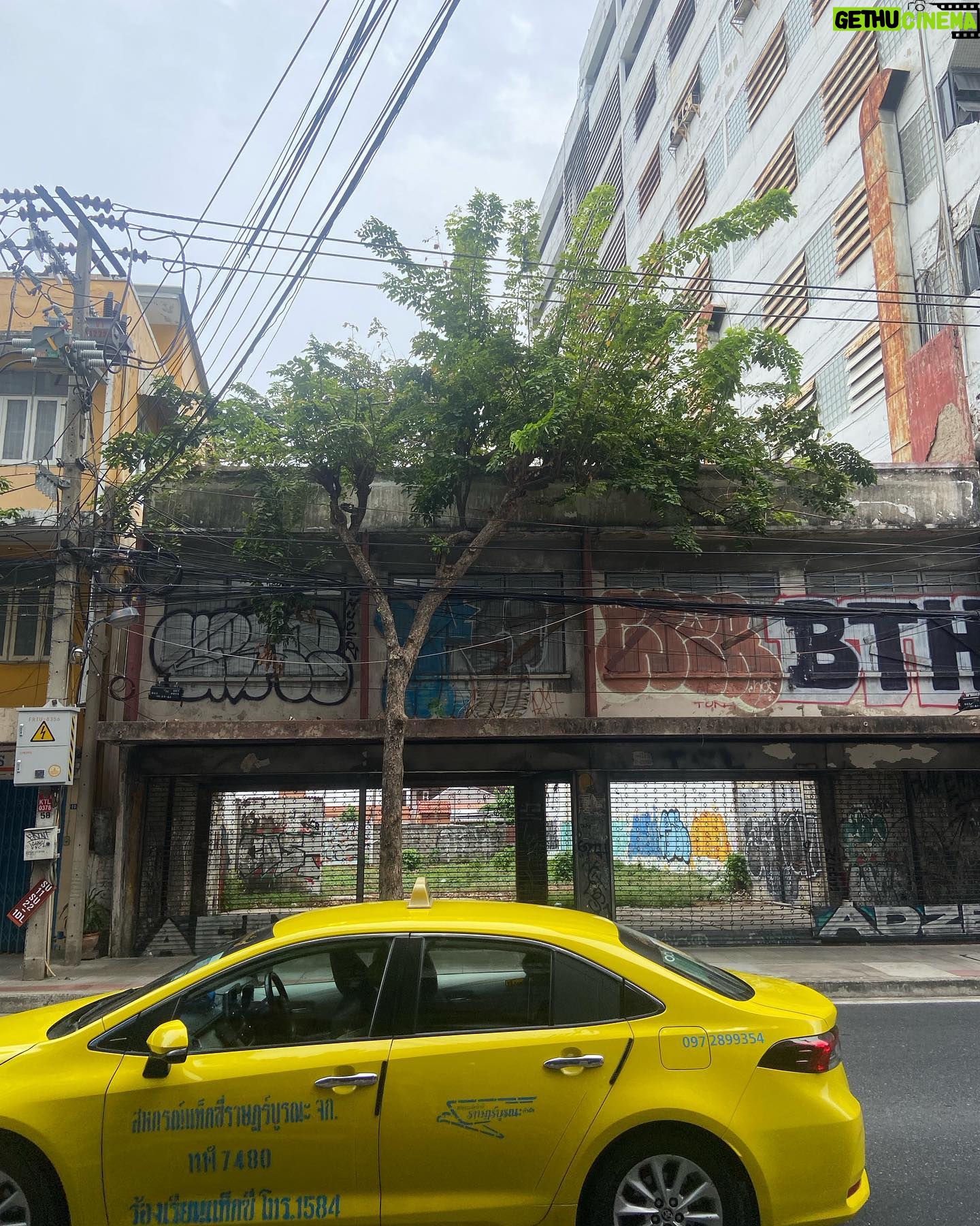 Arzu Yanardağ - 3 Likes - Bangkok dump✌️