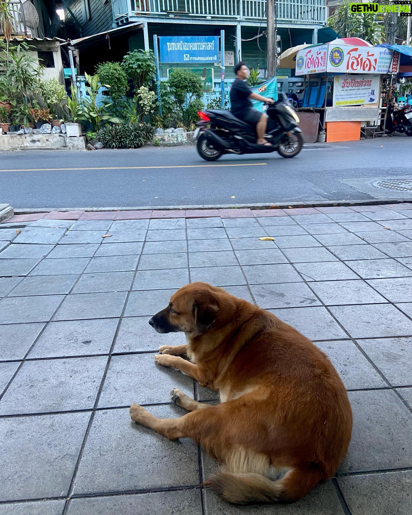 Arzu Yanardağ - 3 Likes - Bangkok dump💥 first week🥰✌️
