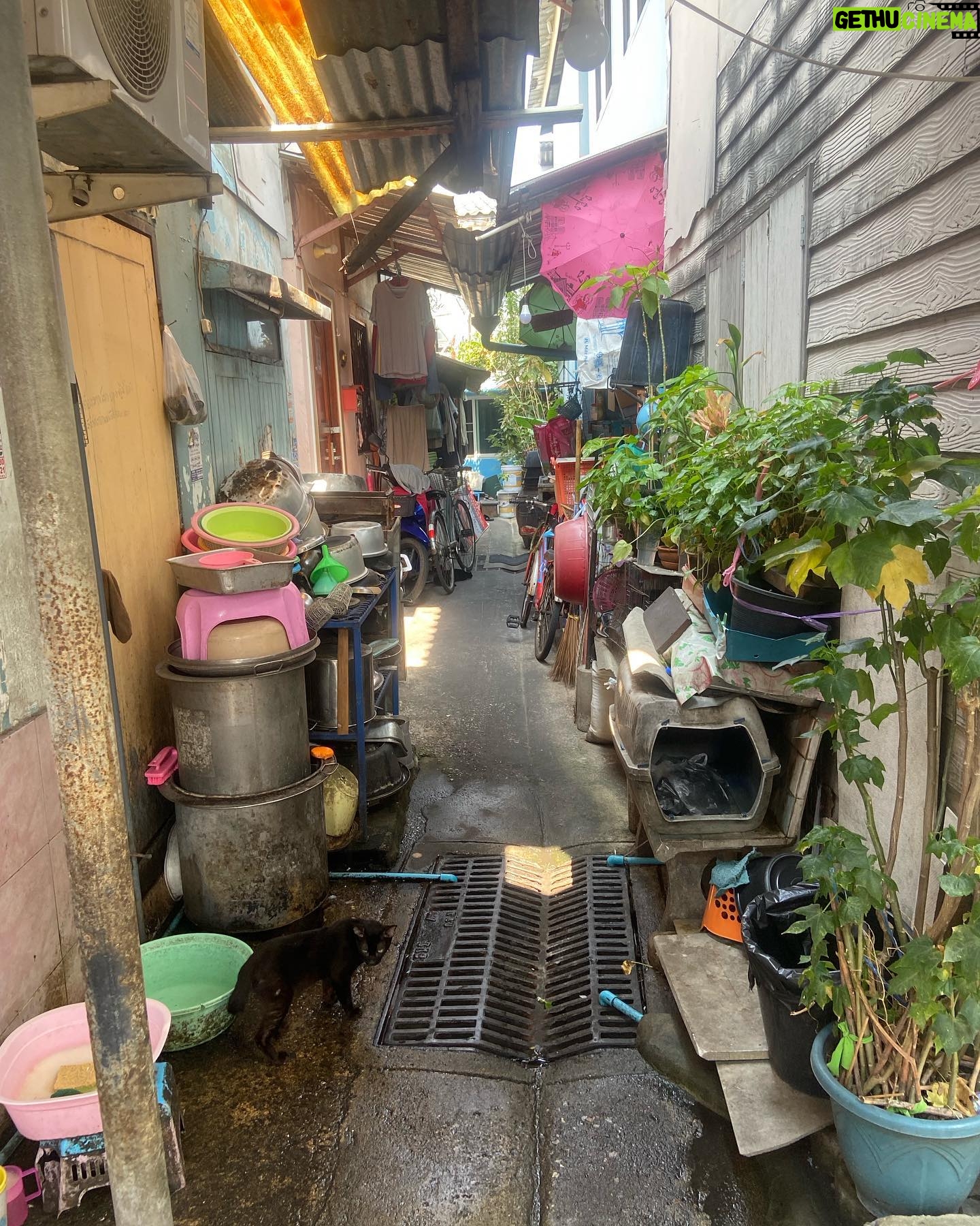 Arzu Yanardağ - 3 Likes - Bangkok dump💥 first week🥰✌️