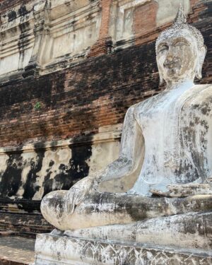 Arzu Yanardağ Instagram - Zuzu Ayutthaya antik kentinde🤩🙏🏻 #namaste #Bangkok