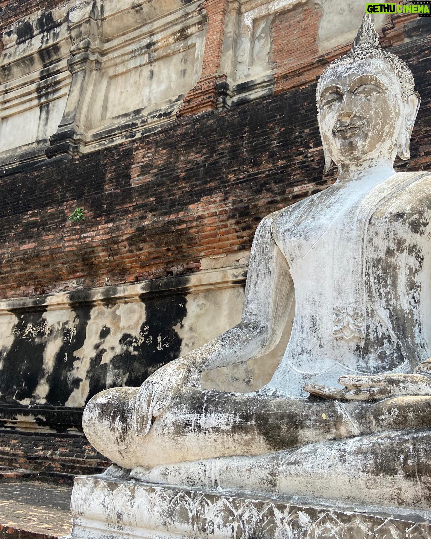 Arzu Yanardağ - 3 Likes - Zuzu Ayutthaya antik kentinde🤩🙏🏻 #namaste #Bangkok