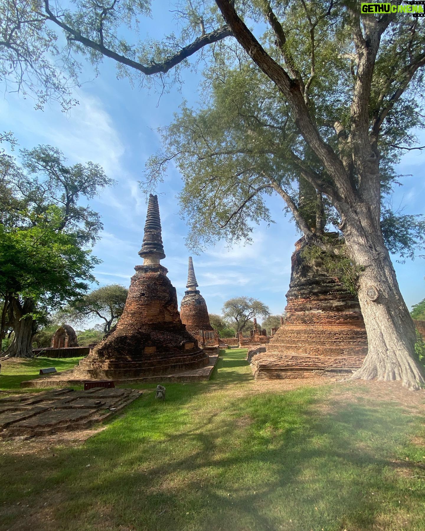 Arzu Yanardağ - 3 Likes - Zuzu Ayutthaya antik kentinde🤩🙏🏻 #namaste #Bangkok