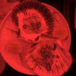Asena Tuğal Instagram -