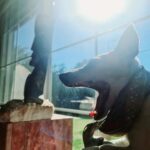 Asena Tuğal Instagram –