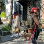 Asena Tuğal Instagram -