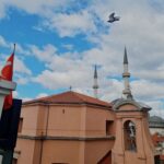 Asena Tuğal Instagram – Dalga geçmemeli, ağlayıp sızlamamalı, nefret etmemeli ama anlamalıyız… Spinoza