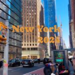Ashlesha Savant Instagram – Damn 
It’s a #lovestory #newyork #newyorkcity #manhattan 
#reelsinstagram #reels #loveforever #newyork2024🗽🇺🇸#newyork