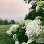 Ashley Cook Instagram - one thing that i know for sure: slowing down with people you really, really love is magic. as good as it gets. a few days away was enough to leave me full and reminded— i have many, many reasons to say thank you.