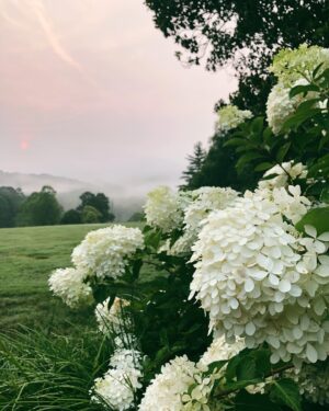 Ashley Cook Instagram - one thing that i know for sure: slowing down with people you really, really love is magic. as good as it gets. a few days away was enough to leave me full and reminded— i have many, many reasons to say thank you.