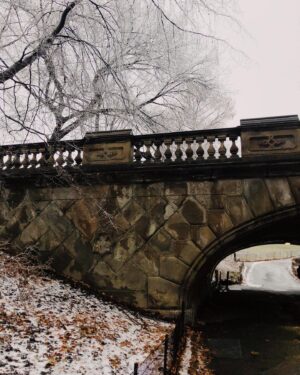 Ashley Cook Instagram - when you have it good, don’t miss it. time in this city with a handful of people that matter most to me— it has been good. and that’s the beauty that continues to come. long conversations and meals together and walks through the park. good music and quiet mornings. winter has a way of reminding us that plenty of things are temporary. there is loss here. there is more let go than we often want. but, there is also friendship and laughter and love that lasts. right here, i’m grateful for every little good thing that hasn’t been so little in my heart lately.