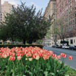 Ashley Cook Instagram – once again, leaving this city filled to full. a weekend with a long list of your favorite people in one place— magic. spring in new york, also magic.