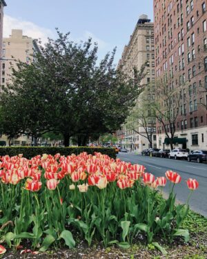 Ashley Cook Instagram - once again, leaving this city filled to full. a weekend with a long list of your favorite people in one place— magic. spring in new york, also magic.