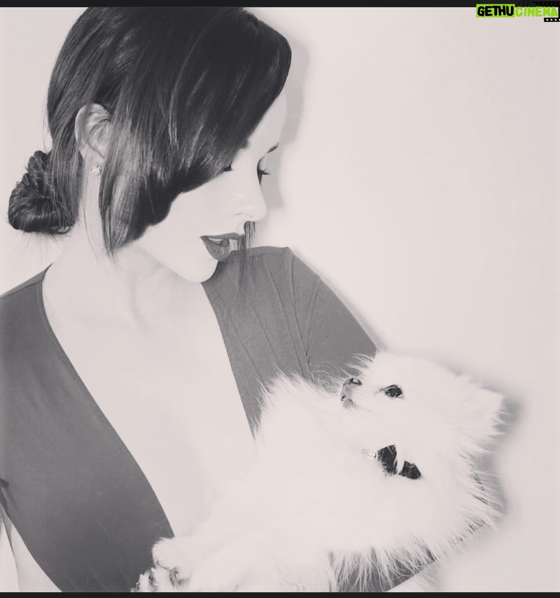 Ashley Rickards Instagram - RIP princess, you were my light when I was dark, my hope when I was broken and my love that always made me live fuller. You made everyone smile who met you and I miss you with all my heart and always will. Heaven gained an angel today.