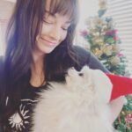 Ashley Rickards Instagram - We caught my dog with her whole self in the treat jar today. Well it’s more of a bin than a jar obvi— but my point is, I hope everyone was as merry as my sneaky little fur baby today. Be jolly. Be inspired. Be friggin happy… and go get your treats!! But.. also.. invest in better dog proof treat bins. I’m still so proud of her haha 🤭🤭