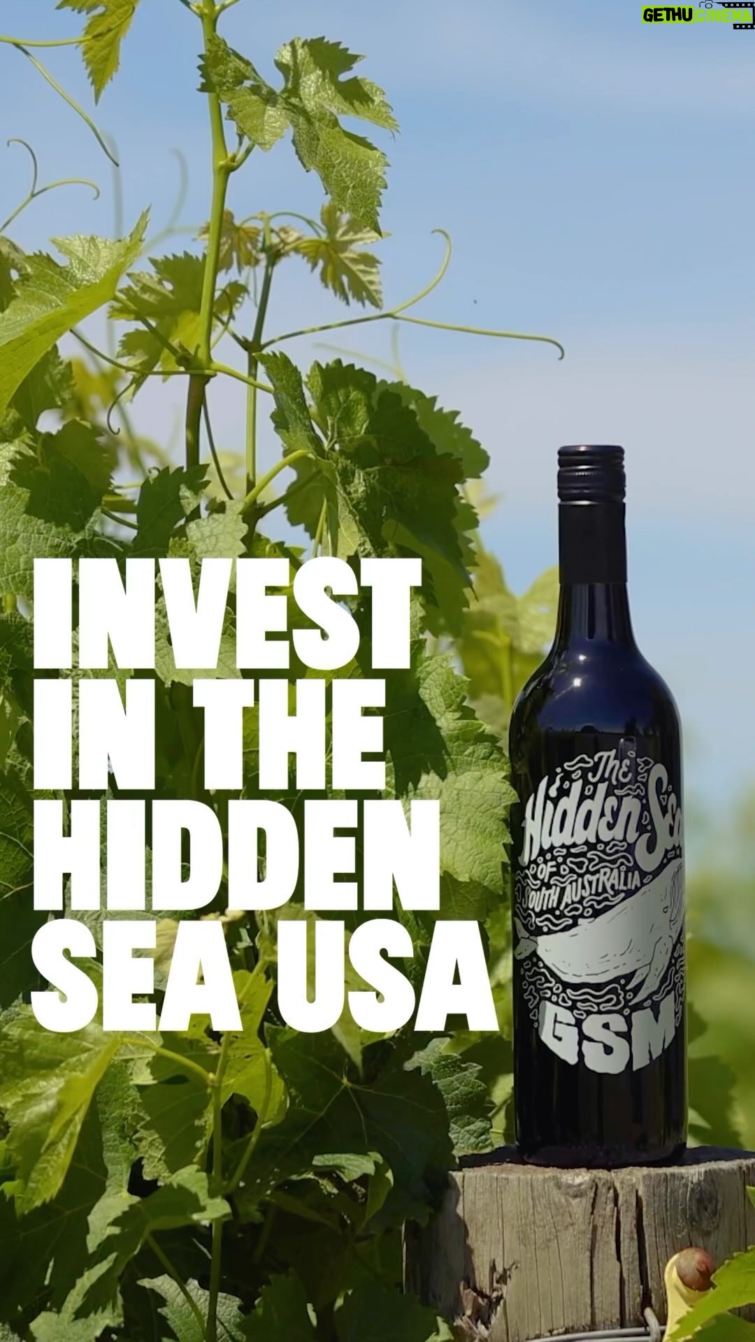Ashley Williams Instagram - Last night, The Hidden Sea founder Richie Vandenberg came to our home & had dinner (& wine!) with me, Neal, and our kiddos. He’s now also my buddy. We invested in the launch of the U.S. arm of his amazing company @thehiddenseawine because 1. We love their mission and 2. We love their wine… And now it’s also OUR wine! We have a wine! For every bottle of wine sold, they remove 10 plastic bottles from the ocean. It’s as simple as that. If that sounds as good (& yummy) to you as it does to us — join us by investing in their company by clicking the link in my bio. For as little as a nice dinner with friends. One Wine. One Mission. To remove the plastic from the ocean. One billion bottles out of the ocean by 2030 is an ambitious and crucial goal. And wine is one of life’s great things…