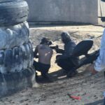 Ashley Yoder Instagram - Paintballing w/ the home team!! Happy Bday @medinatattoos 🤩💯 @checkmatmurrieta vs @dedicatedjiujitsu was such blast!! #cod