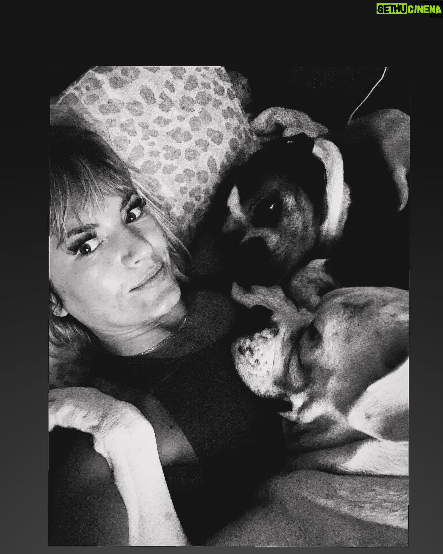 Ashley Yoder Instagram - Cause I love these little fur balls so much πΎπβ₯οΈ