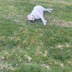 Ashley Yoder Instagram - Baxton eating ish at the end has me in tears🤣🤣🤣