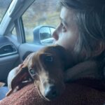 Ashly Burch Instagram - Shooting "We're all Going to Die" is exceeding my expectations, specifically as they pertain to the amount and quality of set dogs.