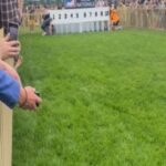 Ashly Burch Instagram – We went to the corgi nationals and it was one of the greatest decisions I’ve ever made. Swipe for video