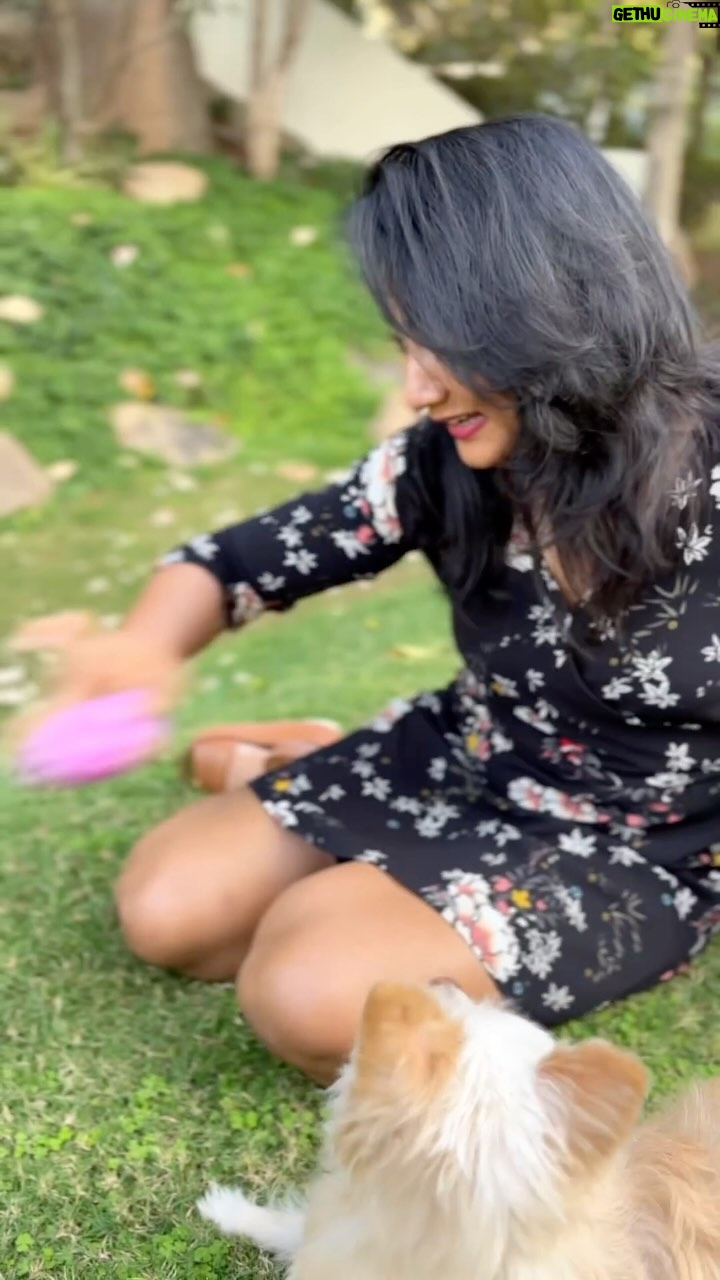Ashmitha Instagram - The Slow Life….❤️ #flowers #nature #beauty #green #wind #garden #ashtrixx #minivlog #slowlife #life #happy #smile #laugh #relax #us #couple #couplegoals #toastie #mypet #pets #petsofinstagram #breeze #goodfood #hyderabad #petfriendly #telugu #teluguactress #vlogger #influencer