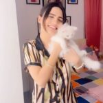 Ashna Kishore Instagram - Meow Meow Meri Sakhi 🐱💗 Me & Snowy 2.0 🥰😋 #AshnaKishore #reels #reelsinstagram #cat #cats #catlife #catsofinstagram #catlovers #trending #trend #viral #viralvideos #explore #explorepage #fy #fyp #foryou #trendingreels #instagram #instagramreels #fun #bollywood #oldschool #oldsongs #relatable #pet #pets #petstagram #petlover #petlovers