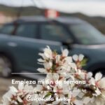 Asia Ortega Instagram - Con @driverevel siempre tengo el coche disponible para los planes que surgen. Anímate y descubre las ventajas del mejor renting para particulares, mínimo 12 meses, contratación de 100% Online y te lo traen a la puerta de tu casa