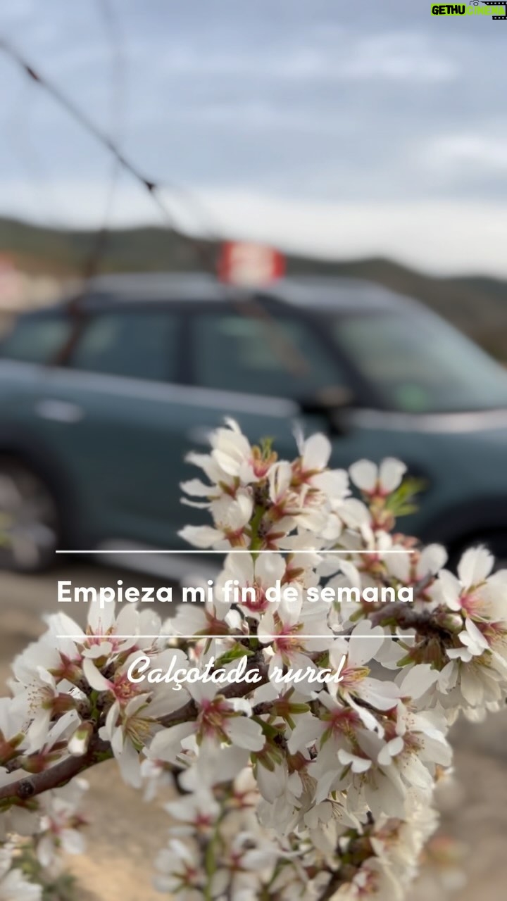 Asia Ortega Instagram - Con @driverevel siempre tengo el coche disponible para los planes que surgen. Anímate y descubre las ventajas del mejor renting para particulares, mínimo 12 meses, contratación de 100% Online y te lo traen a la puerta de tu casa