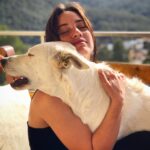 Asia Ortega Instagram - 🐺“Lxs perrxs viejxs reflejan su instinto en lxs lobxs jovenes” Cuca & Chillin Juana 🐾 fotitos by. @martagarrucho