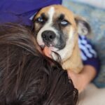 Asia Ortega Instagram – ✨CHILLIN✨ a llegado a casa para llenar corazones. Kayser ya vive con su hermana🐾 y nosotros @adrybilly junto la hija adoptiva 🤍 más guapa
#adopta #adoptanocompres