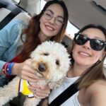 Aslı Mavitan Instagram - Urla Vurla Dump 😎