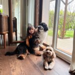 Aslı Tandoğan Instagram - 4 Ekim Hayvanları Koruma Günümüz Kutlu Olsun🐾❤️