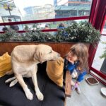 Aslı Tandoğan Instagram - 4 Ekim Hayvanları Koruma Günümüz Kutlu Olsun🐾❤️