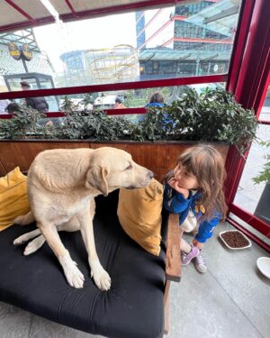 Aslı Tandoğan Instagram - 4 Ekim Hayvanları Koruma Günümüz Kutlu Olsun🐾❤️