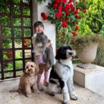 Aslı Tandoğan Instagram - 4 Ekim Hayvanları Koruma Günümüz Kutlu Olsun🐾❤️