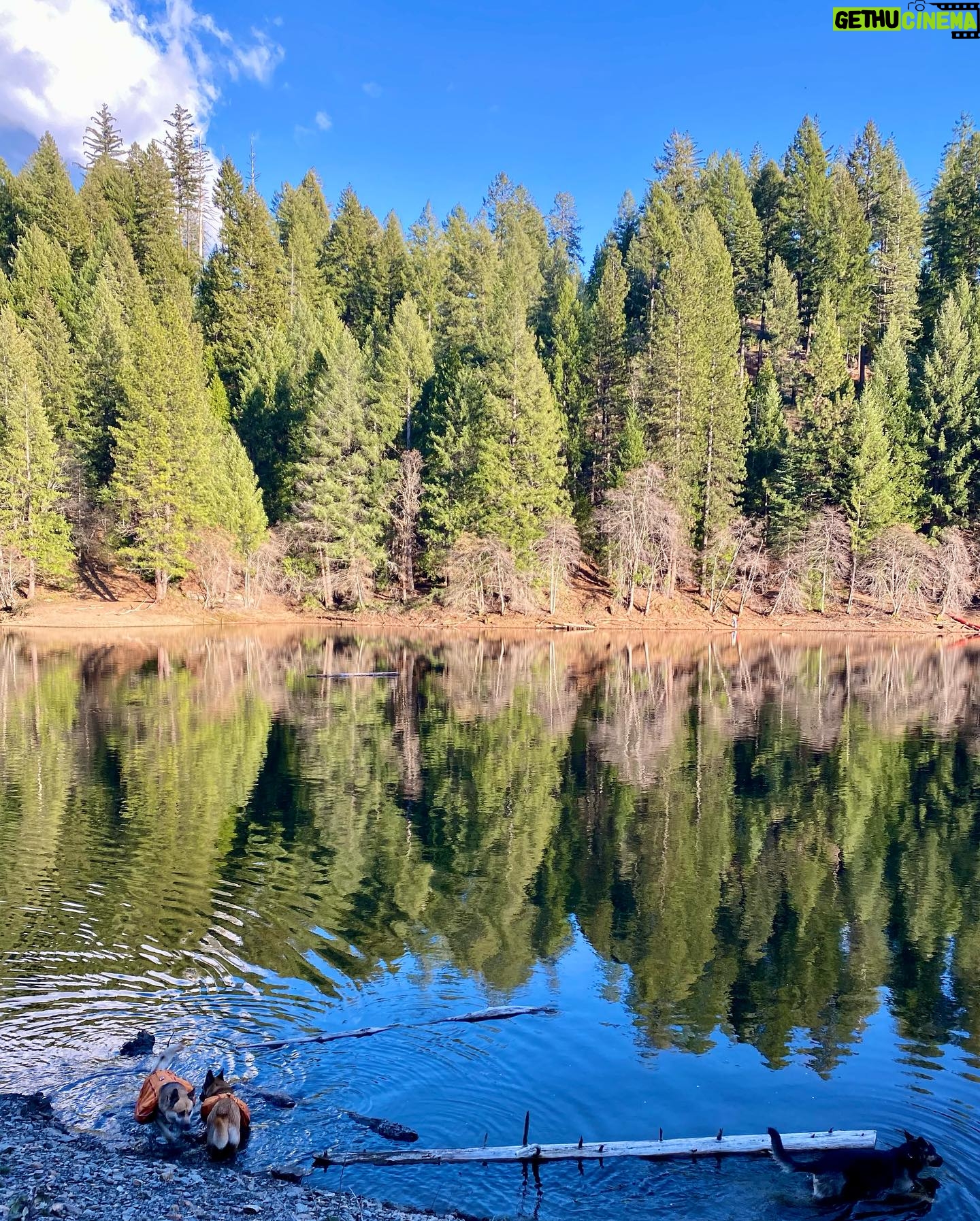 Aspen Ladd Instagram - Let’s answer all of the most common questions I’ll get when sharing an adventure like this … 1. YES , the fishing is great here 🎣 2. That’s my sister and brother 3. The back scars are from a cage fight ⛓️🤼♀️ 4. It was 13 miles 5. No I’m not worried about bears 🐻….yet 😂 6. This is a top secret location ….hint I grew up here