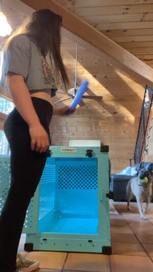 Aspen Ladd Instagram - The worlds happiest little foster fail, Miss Freya helping me test out our new @impactdogcrates . Which is going to make integrating MY NEXT foster pup way easier.

I dig this thing it’s borderline indestructible, as in if you have a dog that’s anxious and destroys the house( or lesser crates) it won’t be able to wreck this one . This is the collapsible version, which I chose to get because I can easily take it road-tripping and move it around. 

10/10 would recommend if you have high drive pups that you need to keep safe at events . ( you can also lock it from the outside) 🔐

11/10 would recommend if you like to foster high drive/ potentially very anxious dogs and need a secure space that they can decompress and be separated from your own dog(s) 

12/10 …would recommend 🙂

#impactdogcrates #impactpups #dogsofinstagram #adventuredog
