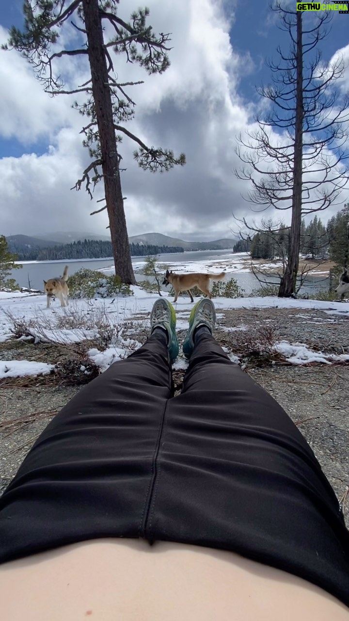 Aspen Ladd Instagram - Well after being bedridden like some kind of sickly Victorian child for the last three days …today I felt kinda ok 👍 I then proceeded to definitely over due it . But hey I made it back to my 4Runner …and the pups don’t care if it takes me 87 years ( and a brief nap) to hobble back to it. Or if I needed breaks . I never need breaks 😩 Anyways, that was an absolutely awful stomach bug but bright side I’m almost on weight 😂