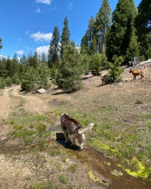 Aspen Ladd Instagram - 10 miles of beautiful adventure, followed by absolutely gutting a room in my house after an unfortunate plumbing incident 😩 All fixed up and cleaned up now