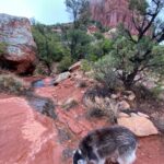 Aspen Ladd Instagram - Soon to be back to your regularly scheduled fight/ training content. BUT check out these epic views first. The pups and I had to check out these famous rocks 🪨 before the 14 hour drive home 😩