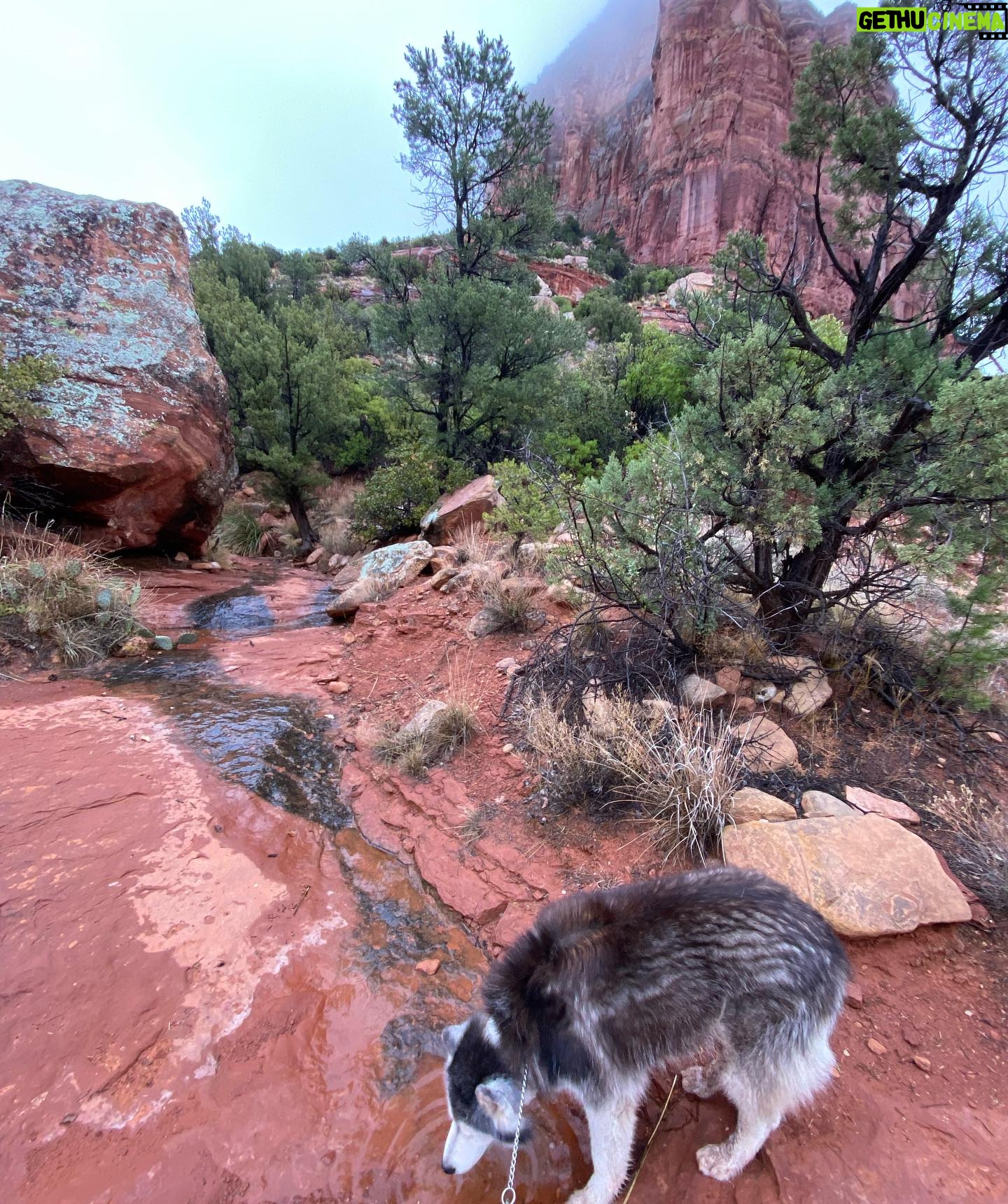 Aspen Ladd Instagram - Soon to be back to your regularly scheduled fight/ training content. BUT check out these epic views first. The pups and I had to check out these famous rocks 🪨 before the 14 hour drive home 😩
