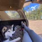 Aspen Ladd Instagram - 10 miles of beautiful adventure, followed by absolutely gutting a room in my house after an unfortunate plumbing incident 😩 All fixed up and cleaned up now