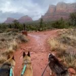 Aspen Ladd Instagram - Soon to be back to your regularly scheduled fight/ training content. BUT check out these epic views first. The pups and I had to check out these famous rocks 🪨 before the 14 hour drive home 😩