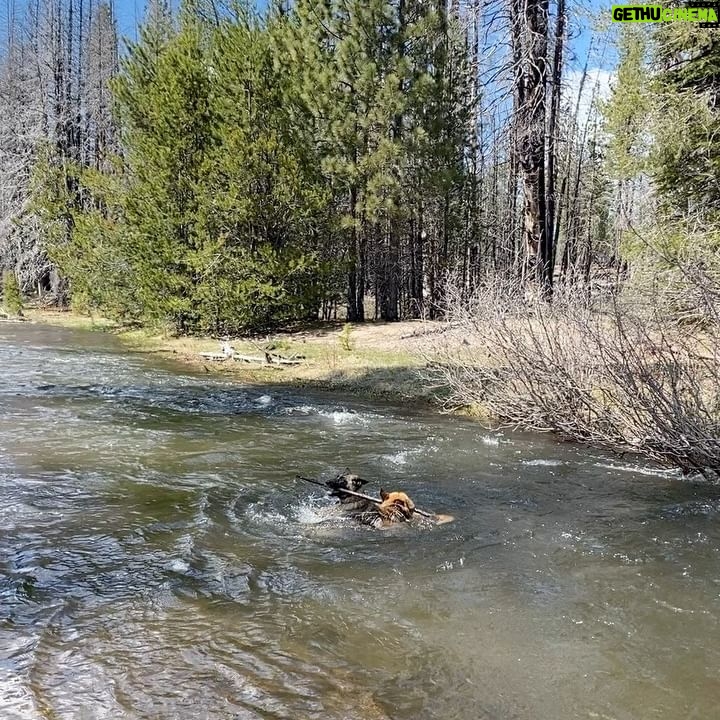 Aspen Ladd Instagram - 5 miles of running and a whole bunch of playing is good for the soul …especially on Thursday before evening training. Because Thursdays are ROUGH usually. Balance ⚖️