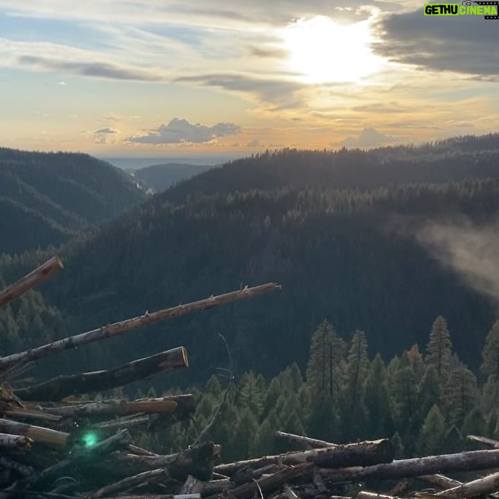 Aspen Ladd Instagram - A beautiful 8 mile loop near my home. It’s always crazy to me when I see people out solo hiking or running. No dogs no other people, headphones in …just livin on hope 😂 For example, just tonight in 8 miles my dogs alerted that there was some kind of predator near by on 5 separate occasions. Could be anything from a coyote to a bear 🐻 I never know until I find prints of scat . 2 weeks ago it was a cougar. How do I know it’s a predatory animal, you may ask? Easy , my dogs spend so much time out in the mountains with me that I know based on their different reactions. None of them really care about prey animals like deer or rabbits for example. Those are fun but not exciting for them . Anyways just random thoughts, especially since last week a man was killed by a cougar not too far from where I live.