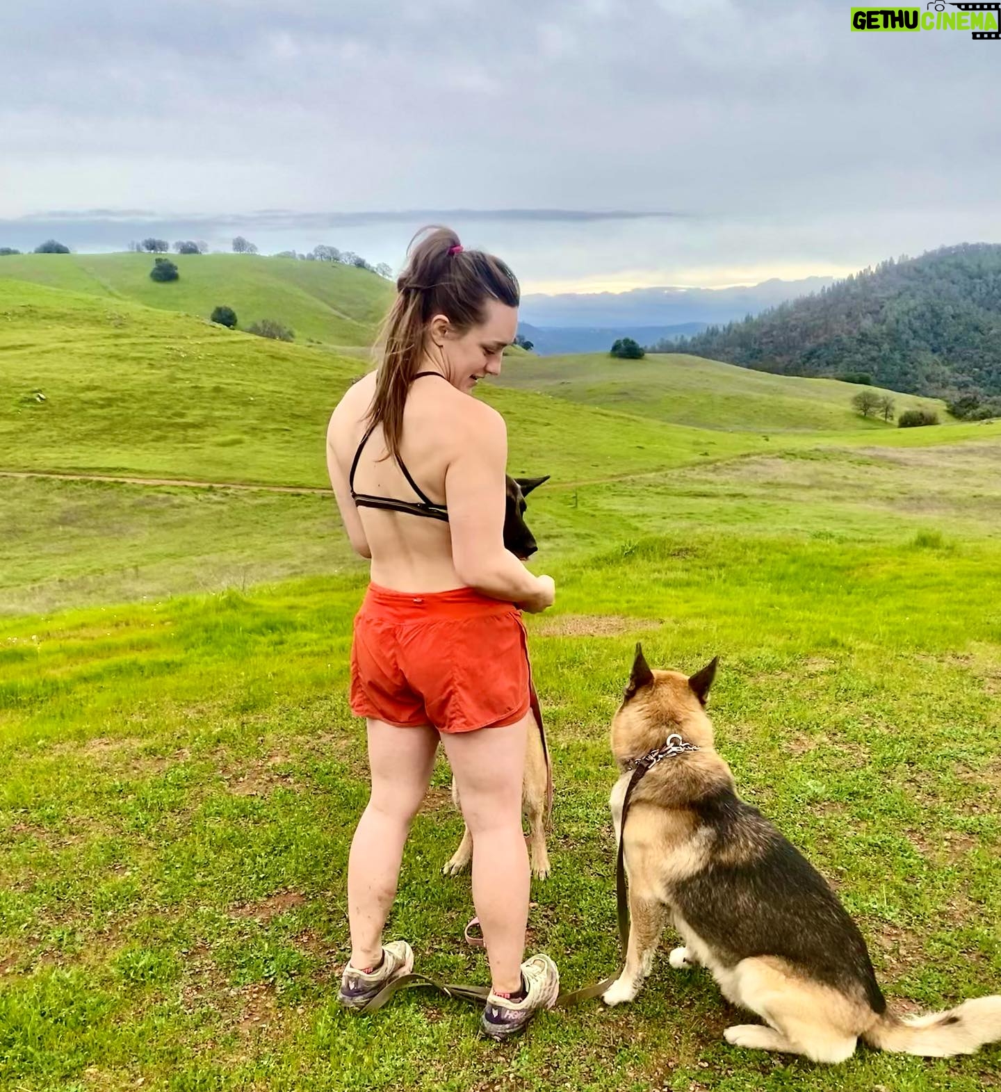 Aspen Ladd Instagram - Flat tires , looking for a lost malinois ( not mine !!!) , 10 miles and a real good day 🙂👹🐕🏃♀️