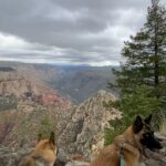 Aspen Ladd Instagram - I’ve been Loving It in #sedona 🏜️ I decided to climb up the highest point in the immediate area for some epic views today . With my three amigos 🐕🐕🐕of course. We summited something called #mountwilson then explored beyond that for 11.5 miles of hiking/ jogging up then running down ( as fast as the rocky and steep trail would allow. It was epic 🙂 #exploresedona #explorearizona #hikearizona